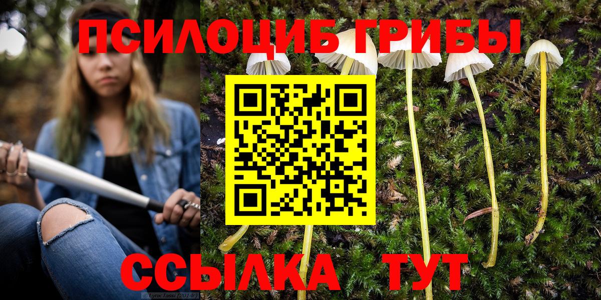 Галлюциногенные грибы мухоморы Владимир
